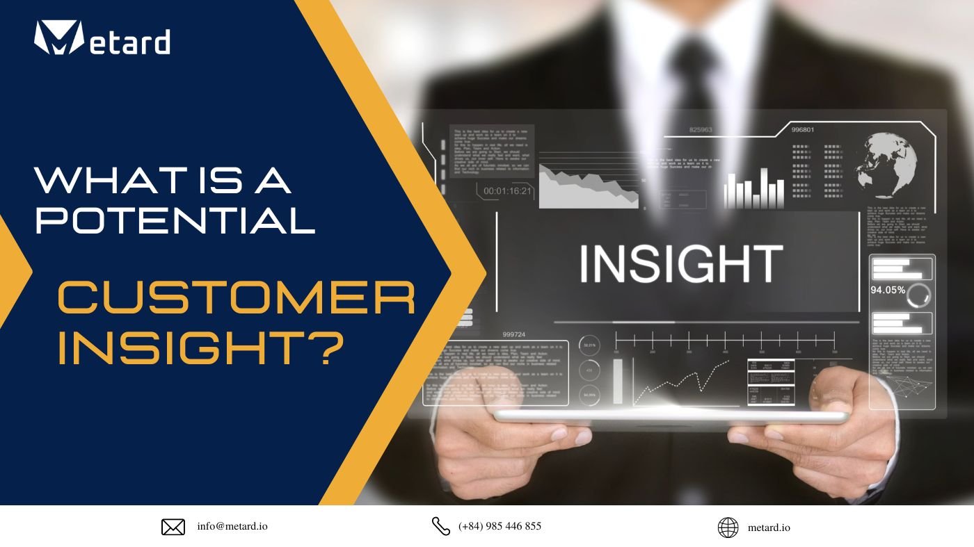 What is a potential Customer insight?